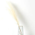 Pluma Artificial