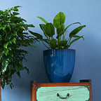 Vaso de Planta de Resina