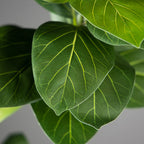 Planta Ficus Artificial