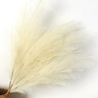 Pluma Artificial