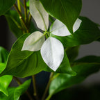 Planta Artificial Fícus