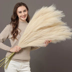 Pluma Artificial