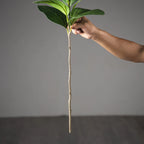 Planta Ficus Artificial