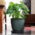 Vaso de Planta de Resina