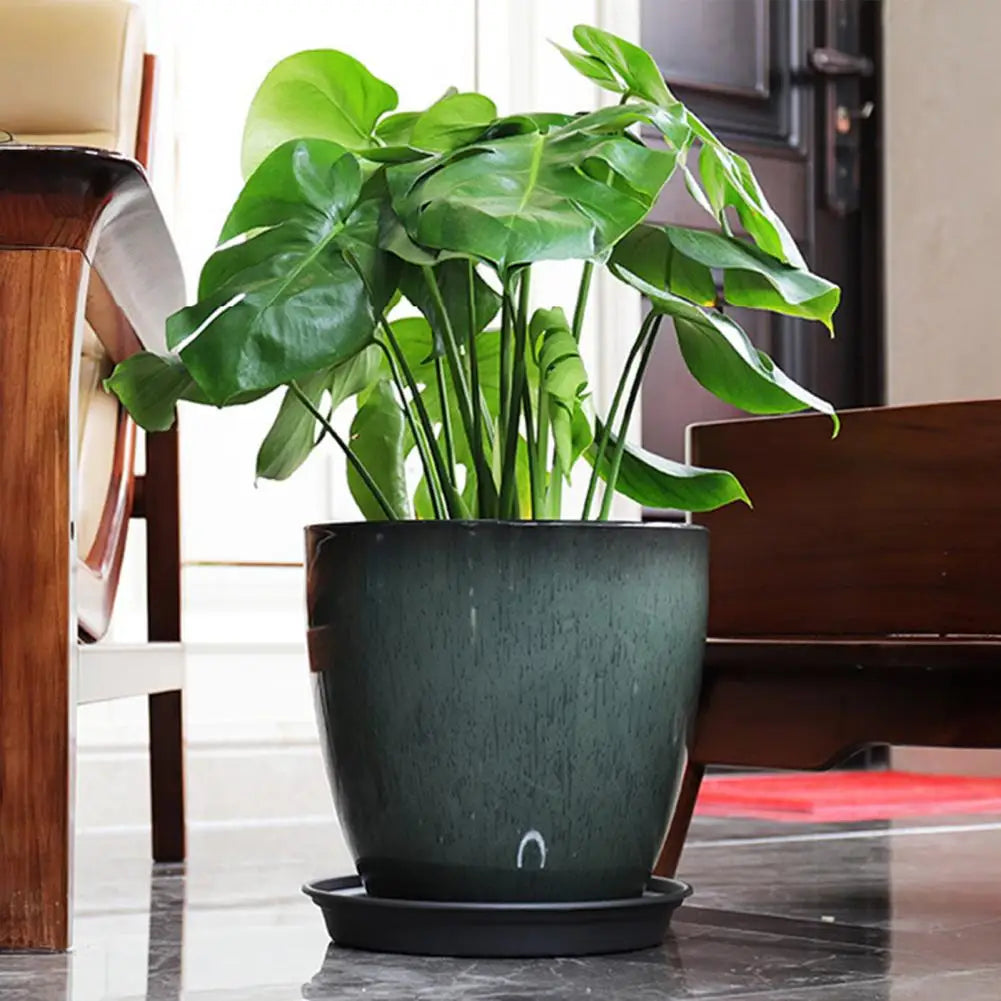 Vaso de Planta de Resina